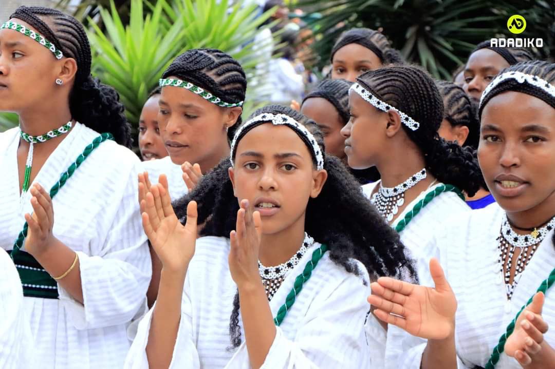 Multimedia Production & Design